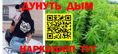 МДПВ Можайск