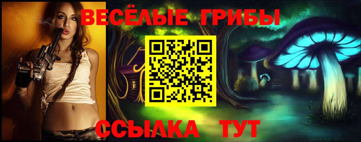 Псилоцибиновые грибы Cubensis Волгоград