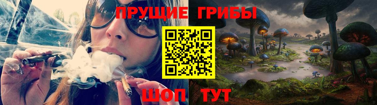 Псилоцибиновые грибы Cubensis  Галлюциногенные грибы GOLDEN TEACHER  Вход с VPN  Волгоград 